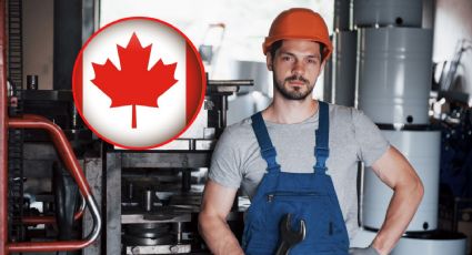 Canadá lanza EMPLEO para mexicanos con sueldo de 19 dólares por hora | REQUISITOS