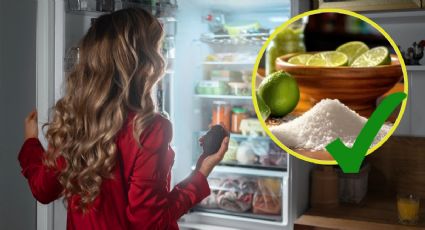 Cómo limpiar tu refrigerador con LIMÓN y bicarbonato de sodio para eliminar los malos olores