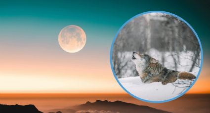 Horóscopo gitano: Los 2 signos zodiacales que atraen una dosis de energía POSITIVA antes de la Luna del Lobo