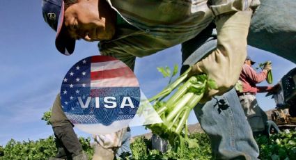 ¿Qué tipo de VISA necesita un trabajador agrícola en Estados Unidos en 2024? | REQUISITOS