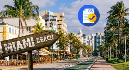 Miami lanza EMPLEO para personas que únicamente hablen español; paga SUELDO de 600 dólares a la semana