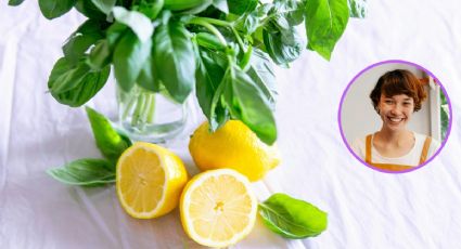 Con 3 ingredientes de cocina tu árbol limonero estará repleto de frutos y flores antes de primavera