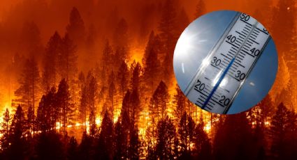Advierten que calor extremo e incendios en EU podrían afectar la salud de las personas