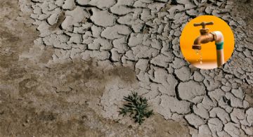 México: Los 10 estados más afectadas por la sequía y el desabasto de agua