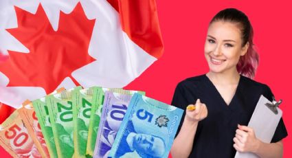 Canadá lanza EMPLEO para latinos con sueldo de 83 dólares por hora | REQUISITOS