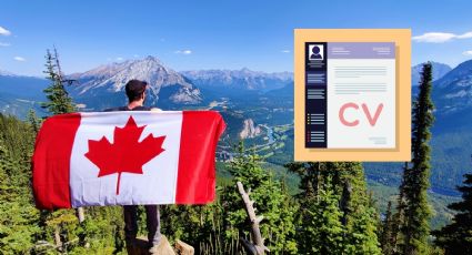 Canadá lanza EMPLEO para personas sin estudios con sueldo de 22 dólares por hora