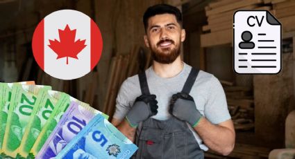 Canadá lanza EMPLEO para latinos con secundaria con sueldo de 19 dólares por hora | REQUISITOS