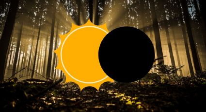 Eclipse Solar 2024: ¿Qué es el Efecto Pinhole y cómo ayuda a que veas de forma segura el eclipse?