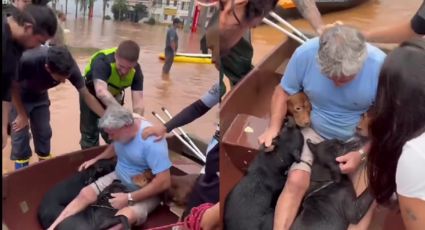 Por salvar a sus perritos, hombre pone en riesgo su vida durante inundaciones en Brasil