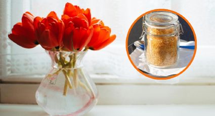 Cómo hacer que tus flores se mantengan con vida más tiempo con solo 2 ingredientes de cocina