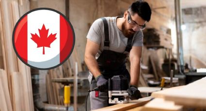 Canadá lanza empleos para carpinteros latinos con sueldo de 30 dólares por hora