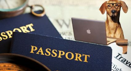 ¿Cómo tramitar el pasaporte de Estados Unidos en línea? | PASO a PASO