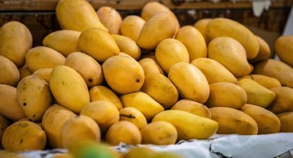 For safety reasons, U.S. suspends inspection of avocados and mangos in Michoacán, Mexico