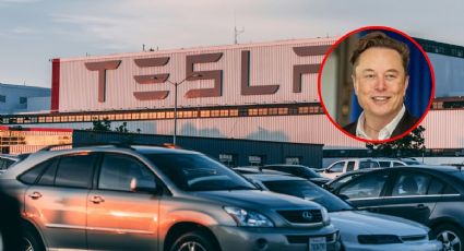 Elon Musk detiene construcción de planta de Tesla en México hasta después de las elecciones de EU