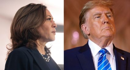 Kamala Harris - Donald Trump: Betting on Their Candidates