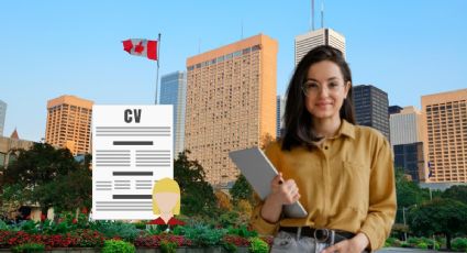 Canadá lanza EMPLEO para personas con secundaria con sueldo de 41 dólares | Requisitos