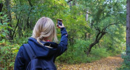 ¡Todo por una selfie! Una mujer muere al tomarse una fotografía cerca de un acantilado