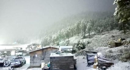 ¡Cayó NIEVE en México! Así se pintó de blanco Durango: FOTOS