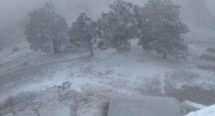 ¿Polo norte? Frente frío 17 CONGELA sierra y provoca tormenta de nieve: FOTOS