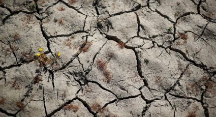 ¡No hay agua! California decreta estado de EMERGENCIA por preocupante SEQUÍA