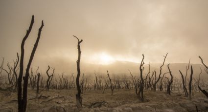 ¡Malas noticias! EU y México sufrirán la PEOR 'megasequía' en MIL 200 años; durará DÉCADAS