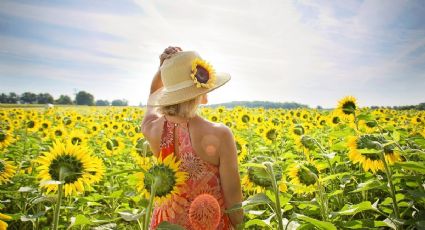 Solsticio de verano: ¿Cómo afectará la "fiesta pagana" a cada SIGNO zodiacal?