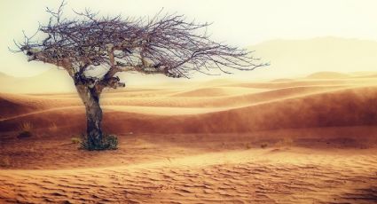 ¿¡La Tierra se está incendiando!? NASA revela terrible deterioro gracias al CALOR