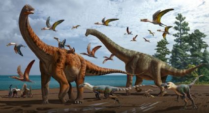 Descubren nuevas especies de dinosaurios gigantes en China