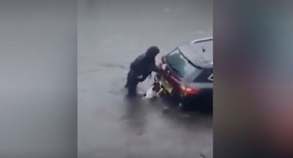 ¡Lomito al rescate! Perro ayuda a su dueña a empujar auto durante una inundación: VIDEO