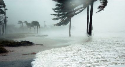 Tormenta tropical Henri AMENAZA en convertirse en huracán y afectar el noreste de EU