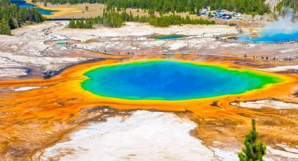 ¿Cárcel por pisar? Mujer termina en prisión por romper reglas en el Parque Nacional de Yellowston