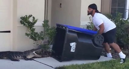 ¡Inaudito! Hombre atrapa a COCODRILO al ataque usando solo un BOTE de basura: VIDEO VIRAL