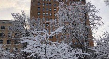 Fuertes nevadas en EU ponen en alerta a más de 65 millones de personas