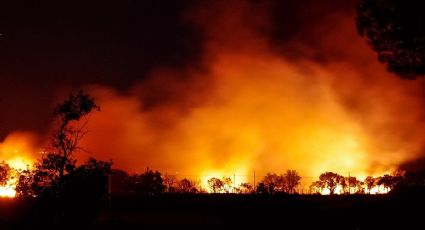 INCENDIO forestal en California provoca desalojos. Esto es lo que sabemos