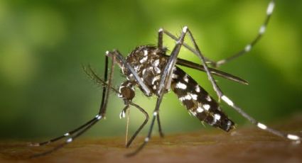 A hombre se le deformó el rostro y pensó que era por un piquete de mosquito; se trató de algo más grave