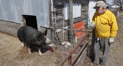 Agricultores EU: Gobierno de Joe Biden anuncia programa de alivio en prestamos, ¿de qué se trata?