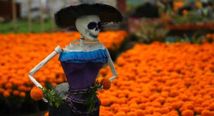 ¿Cómo poner una ofrenda de Día de Muertos si vivo en EU? Estas tiendas en Irving, Texas, venden todo lo que necesitas