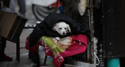 ¡Que no te sorprenda! Frente frío 30 mantiene bajas temperaturas y lluvias en estos estados