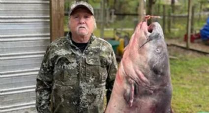 "Es un monstruo": Pescador en Mississippi atrapa gigantesco bagre y rompe récord: FOTOS