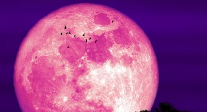 Superluna de fresa: los 4 signos zodiacales con más suerte en el DINERO y AMOR durante este fenómeno