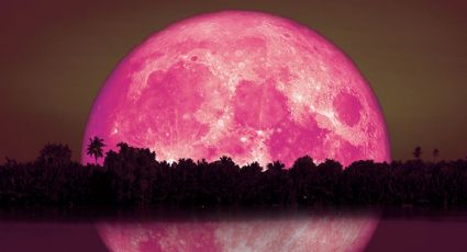 Superluna de fresa 2022: 3 RITUALES para atraer el AMOR a tu vida en esta fecha