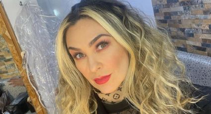 Aracely Arámbula en la nueva versión de 'La Madrastra'; ¿quiénes interpretarán a sus hijos?