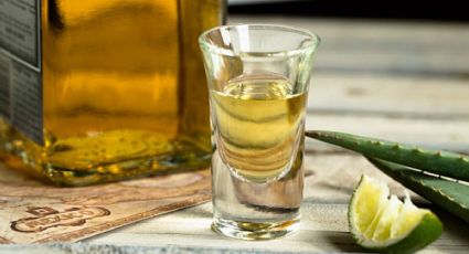 ¿Tequila australiano? Esta podría ser la nueva competencia de la bebida más tradicional de México