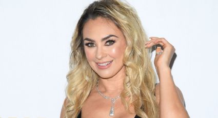 Aracely Arámbula no envejece y así de GUAPA luce en su regreso a la TV con 'La Madrastra': VIDEO