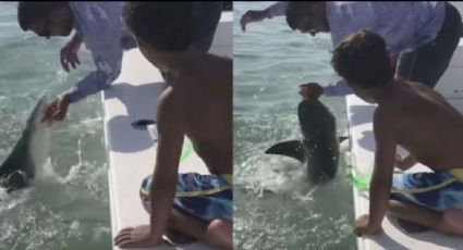 Tiburón arranca dedo de pescador en Florida; el hecho quedó grabado en video (IMÁGENES FUERTES)