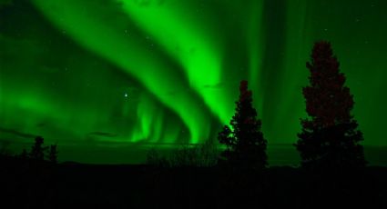 El cielo se pintó de verde en EU debido a bello y raro fenómeno; ¿qué lo provocó? FOTOS