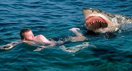 "¡Salgan del agua!" Tiburones aparecen a metros de distancia de niños que jugaban en playa de Florida