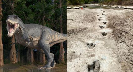 ¿Dinosaurios en Texas? Sequía revela huellas de hace 113 millones de años