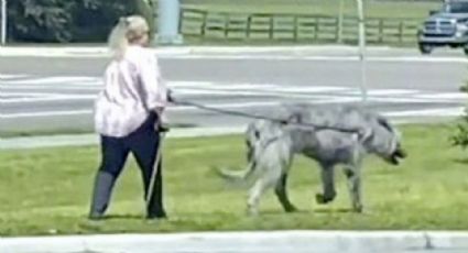 ¿Es un perro o un lobo? Captan a mujer paseando una "bestia" y genera temor: Video