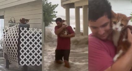 Huracán 'Ian': el heroico momento en que un hombre salva a un gatito en Florida | VIDEO